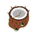 bufo-coconut.png