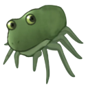bufo-spider.png