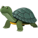bufo-tortoise.png